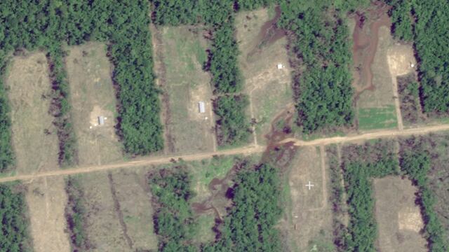 Ucayali: Poder Judicial ordena a colonia menonita paralizar deforestación en Masisea