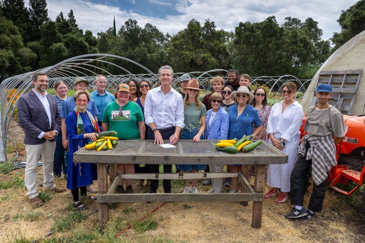 El programa apoya a los agricultores locales, fortalece los sistemas alimentarios regionales y amplía la educación nutricional en las aulas (Foto: Gobernación de Gavin Newsom)