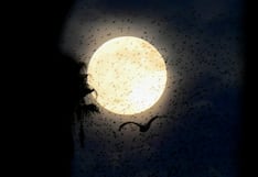 La Superluna y la lluvia de meteoritos coinciden en enero, pero un detalle podría arruinar el espectáculo: esto se sabe