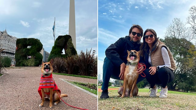 WUF: perro fue rescatado en El Callao y hoy vive en Buenos Aires con su familia