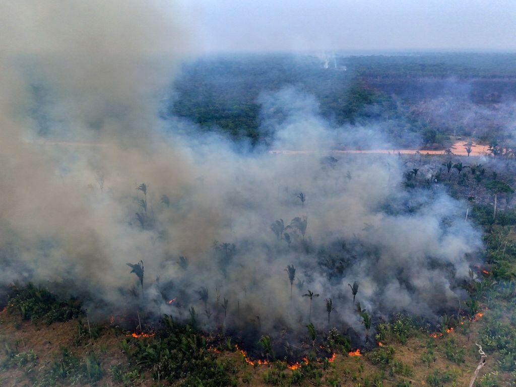Un incendio en la selva amazónica en el norte de Brasil, el 4 de septiembre de 2024 destruyó el ecosistema local y generó humo tóxico.