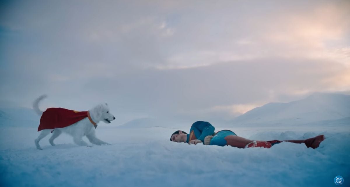 Krypto pasó de ser un personaje secundario a un miembro reconocido del Superuniverso de DC (Foto: Warner Bros. Pictures)