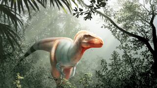 Un primo lejano del T-Rex encontrado en Canadá