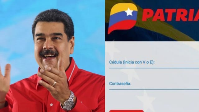 El error común en VeMonedero Patria que te impide cobrar el bono de 9.900 bolívares: revisa ahora si tu perfil está actualizado. (Foto. Composición GEC)