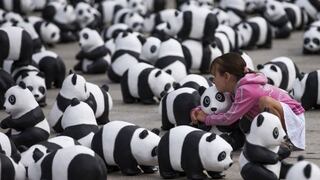 Berlín muestra 1.600 figuras de osos panda, una por cada ejemplar en libertad en el mundo