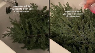La mujer de Canadá que sorprendió en TikTok por “bañar” su árbol de Navidad