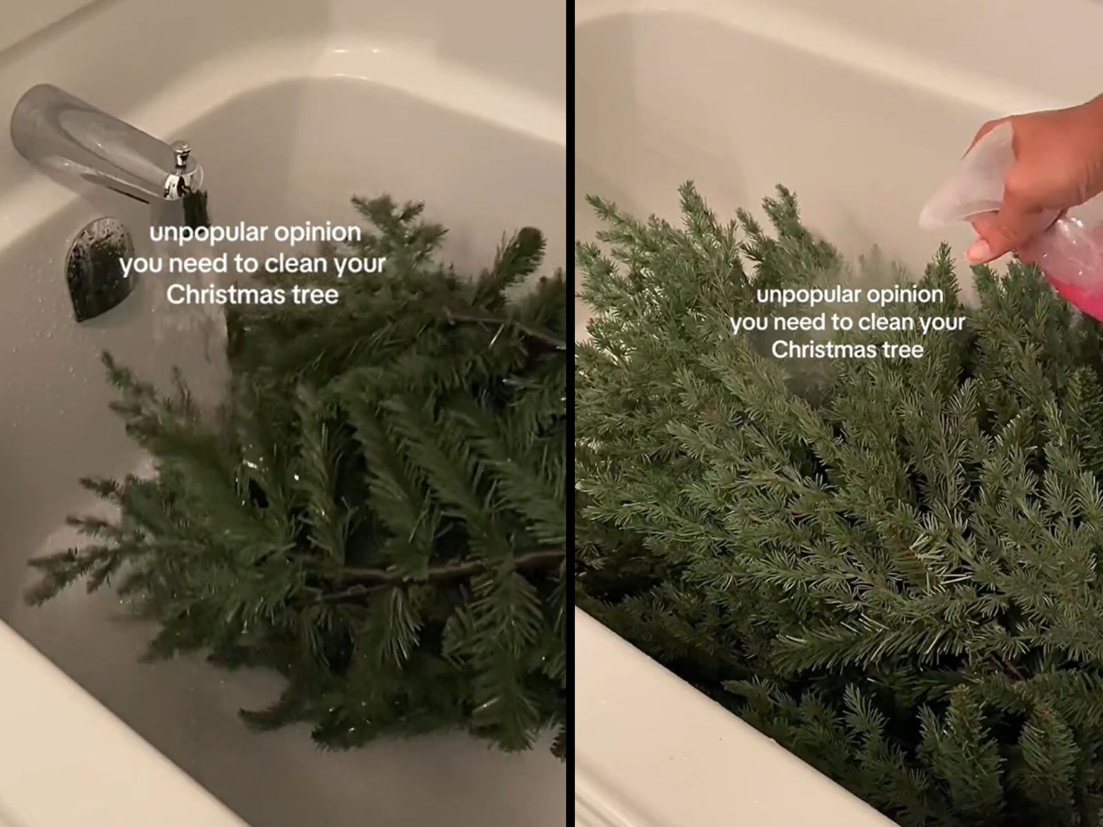 VIDEO VIRAL | La mujer mostró en este clip cómo baña el famoso árbol de Navidad. (Foto: @rhema.br/TikTok)