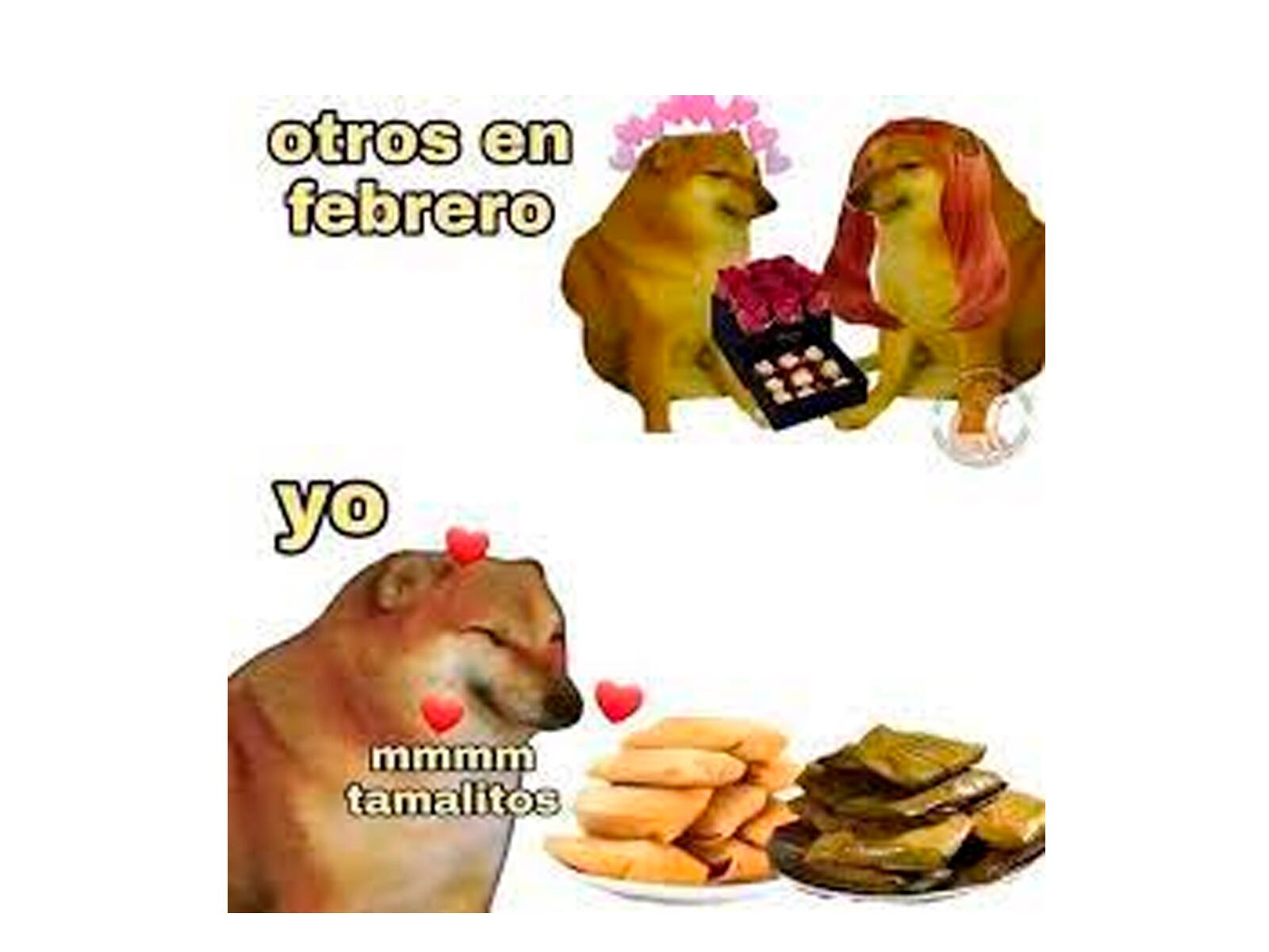 WHATSAPP | Algunos no pasarán solos el Día de San Valentín. (Foto: Memegenerator)