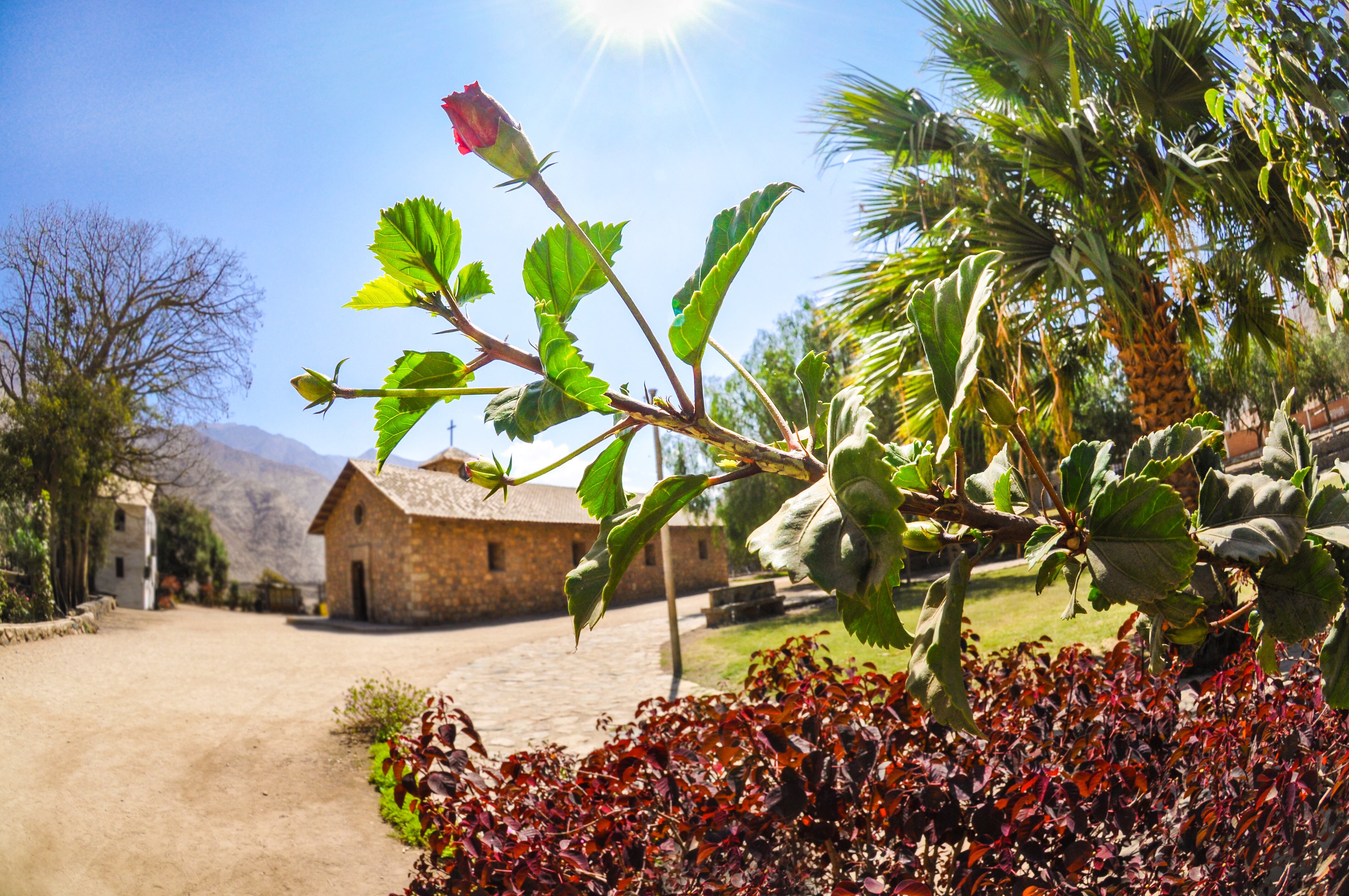 Santa Rosa de Quives es un pueblo pequeño y tranquilo que se encuentra a la orilla del río Chillón y que se localiza en el kilómetro 63 rumbo a Canta (Foto: Shutterstock)