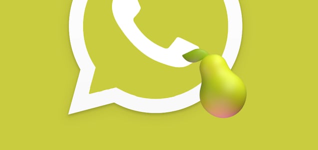 Aquí te digo qué hice para activar el “modo aguacate” en WhatsApp