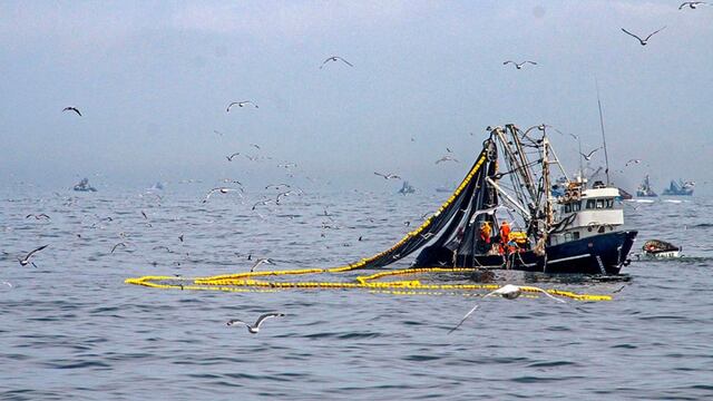 SNP: embarcaciones industriales ya pescaron 72% de cuota de anchoveta asignada para primera temporada de 2020