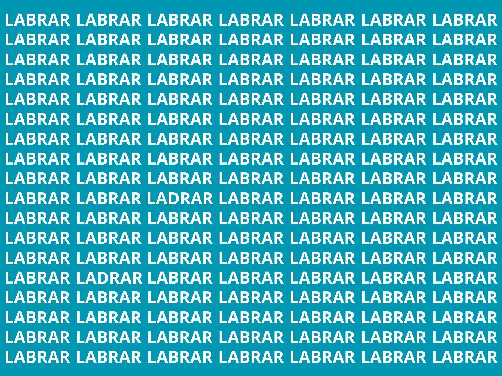 Reto visual: Tienes pocos segundos para encontrar el objetivo. Activa ya tu agudeza visual. (Creación: Mag)