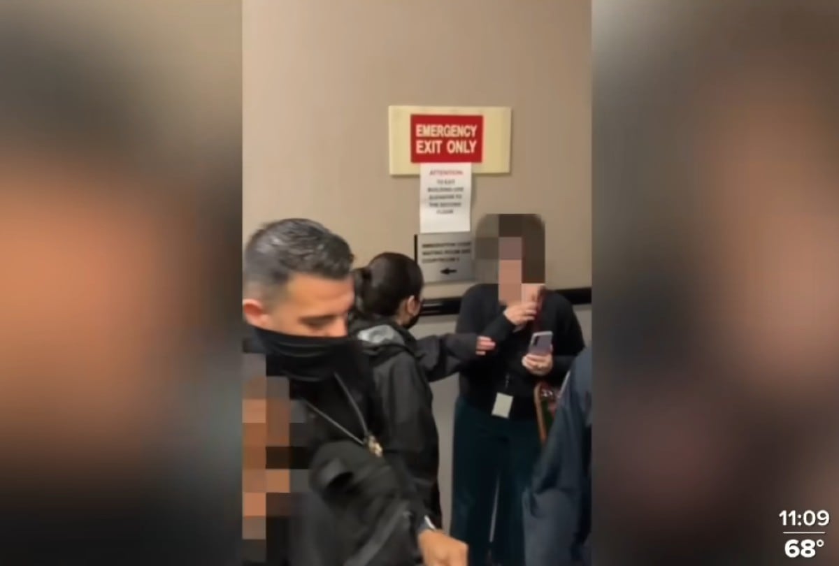 ICE afirma que Barbara Stone empujó a un agente de ICE, aunque los videos no muestran claramente el altercado. | Crédito: YouTube ABC 10 News