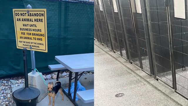 Ignoró cartel de “no abandonar” en refugio a Michigan, ató a su perro y desató la furia en redes