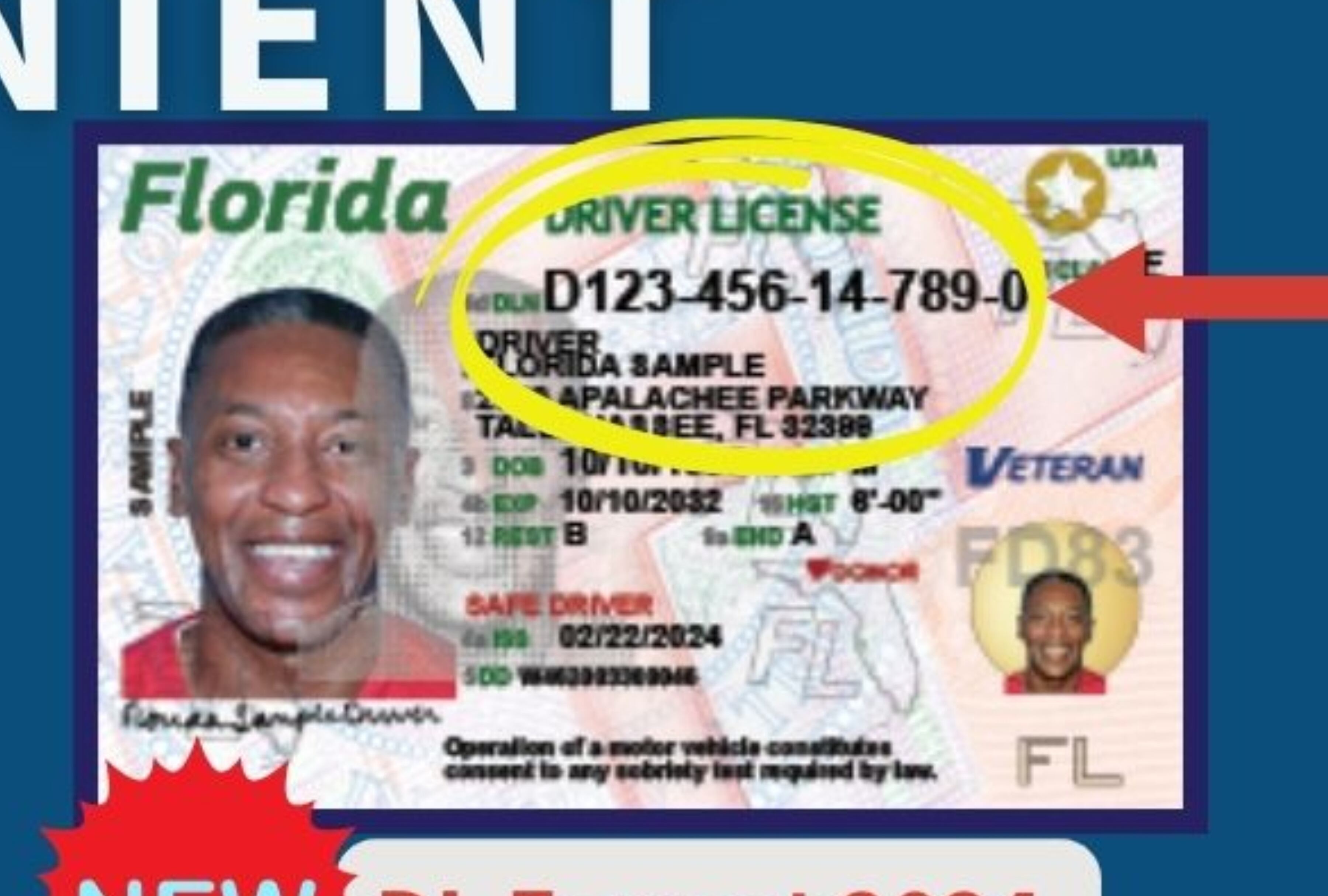 Un ejemplar de licencia de conducir de Florida (Foto: Florida Department of Highway Safety and Motor Vehicles / Facebook)