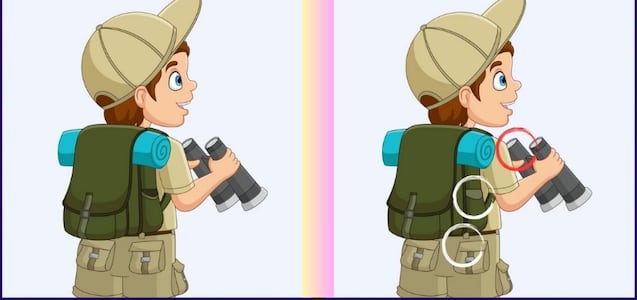 Encuentra 3 diferencias en 27 segundos en este reto visual de observación de aves