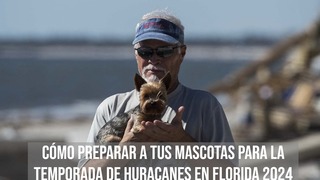 Cómo preparar a tus mascotas para la temporada de huracanes en Florida 2024