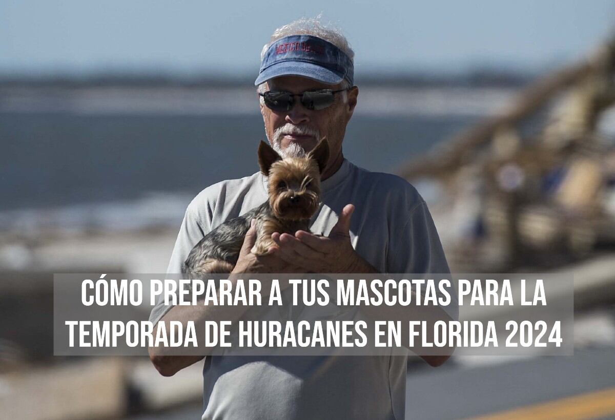 Cuando se trata de proteger a los animales durante una tormenta, la acción es clave. (AFP)