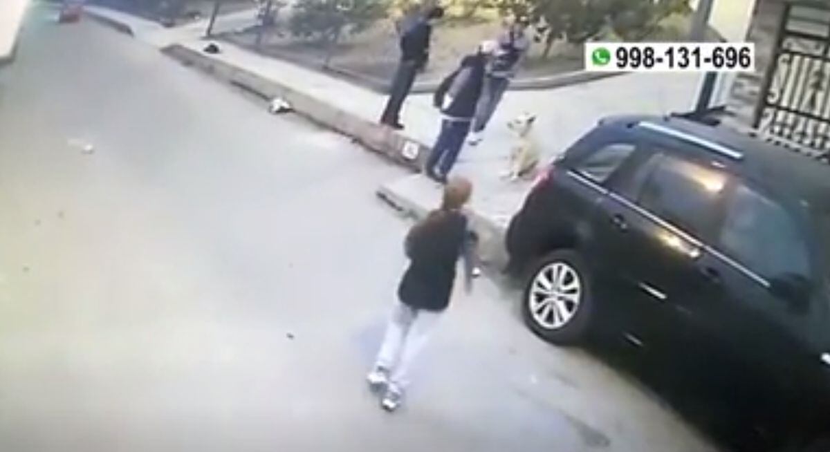 Cámaras registran robo de delincuentes a escolares cerca del parque Santa María, en San Juan de Lurigancho | Captura América Noticias