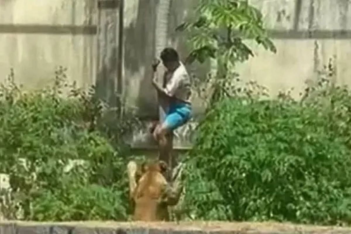 El joven trepó un muro de seis metros e ingresó al recinto antes del ataque fatal. Foto: Captura de video/X