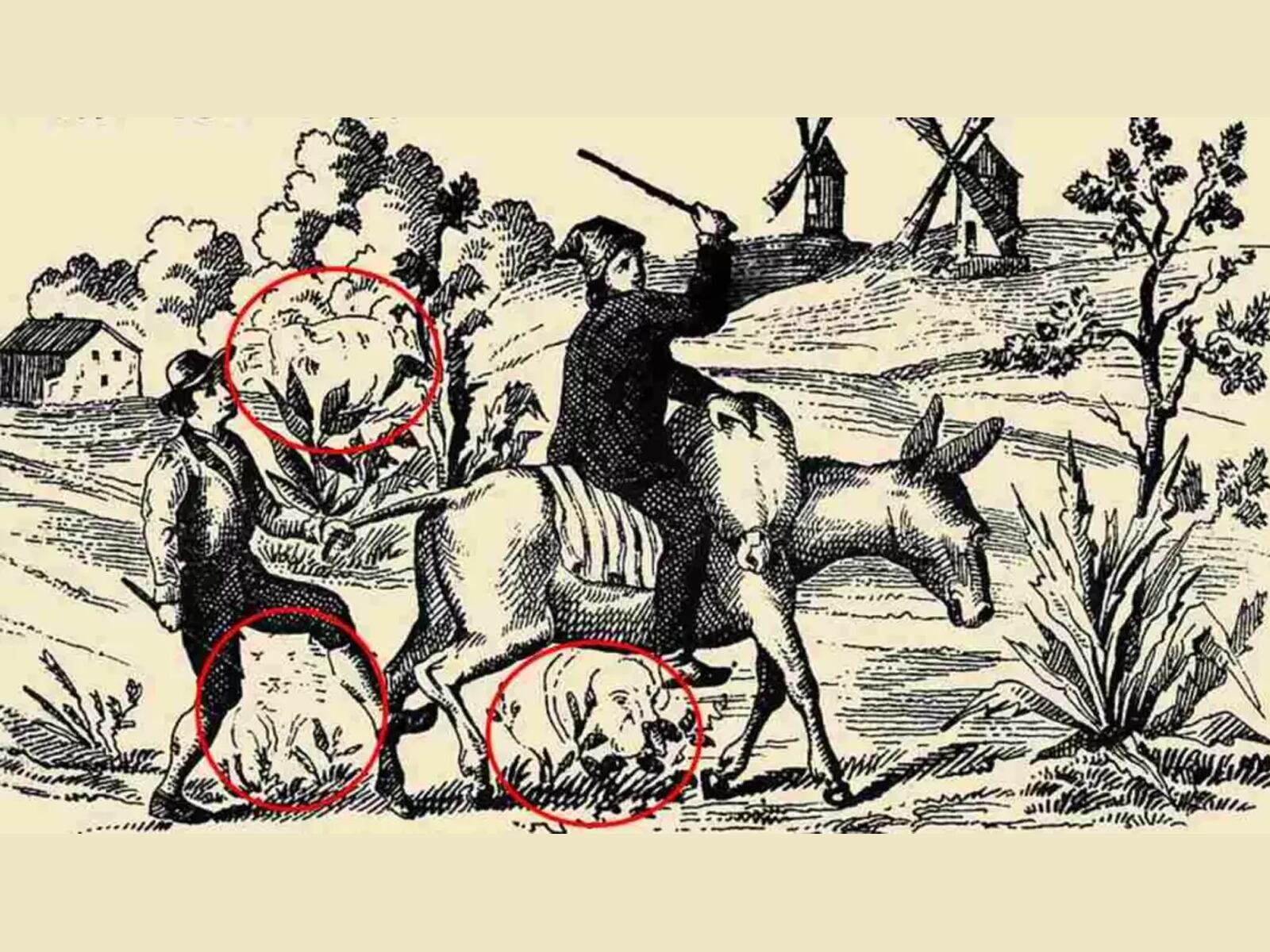 RETO VISUAL | La mujer, el gato y el perro se encuentran resaltados con círculos de color rojo en esta imagen.