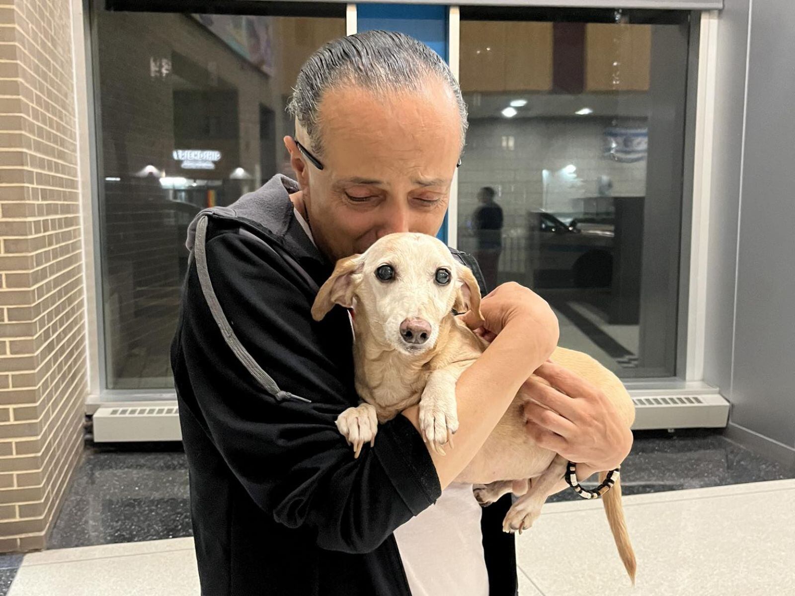 Desde que su mascota fue robada, Angel Santiago hizo todo lo posible para que regresara a su lado. (Crédito: Bring Bam Bam home / Facebook)