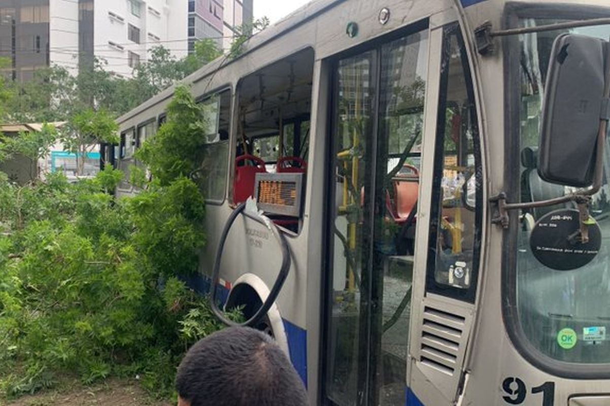 Bus del Corredor Azul se despistó y chocó con árbol de la avenida Arequipa, en el Cercado de Lima. (Foto: Radio Nacional/X)