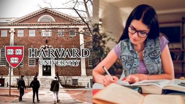 Harvard: Cómo inscribirme en los cursos gratuitos y por internet