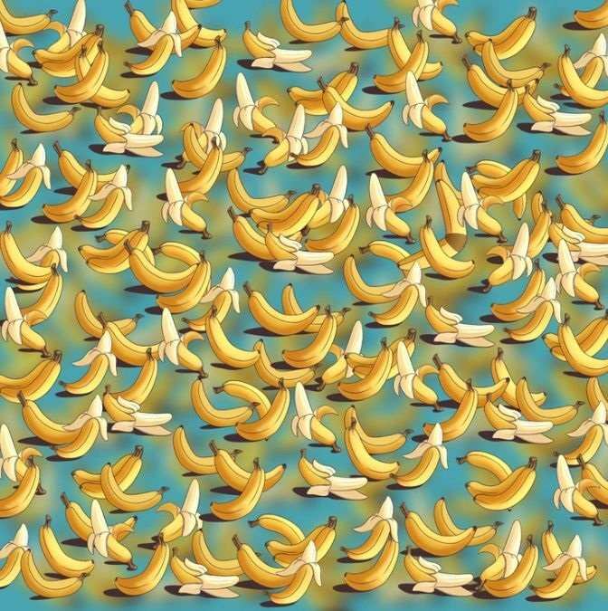 Entre estos plátanos, se esconde un bumerán. ¿Podrás encontrarlo en menos de 10 segundos?