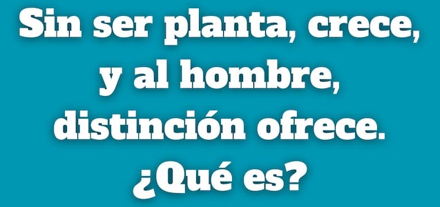 Tienes 8 segundos para adivinar: ¿Qué crece sin ser planta y ofrece distinción al hombre?