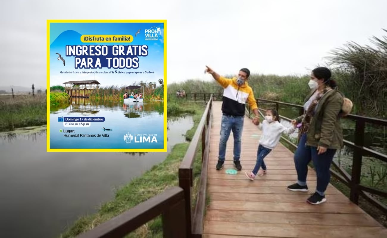 Cuándo y a qué hora puedo hacer visitas guiadas gratis a los Pantanos de Villa