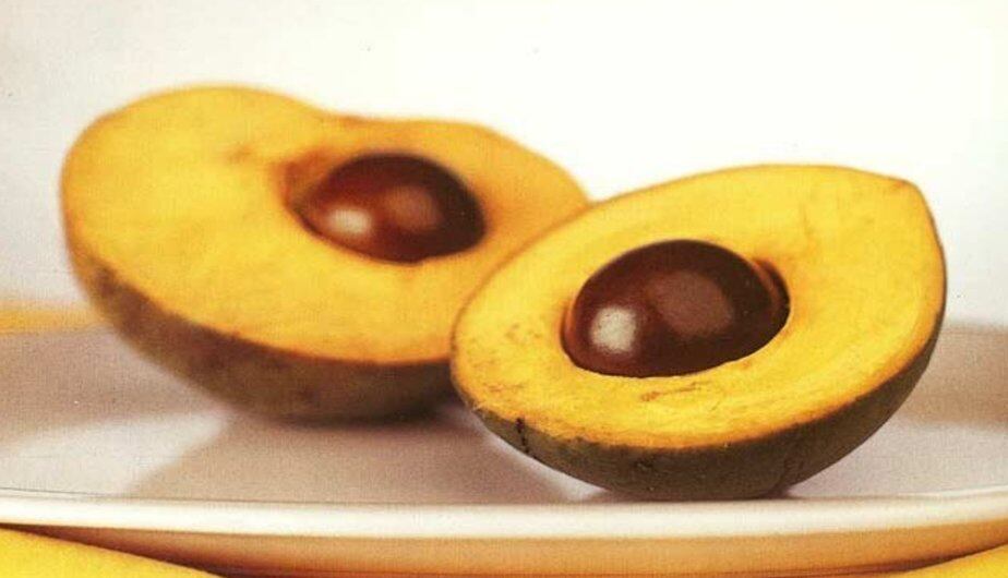 Lúcuma. (Foto: Andina)