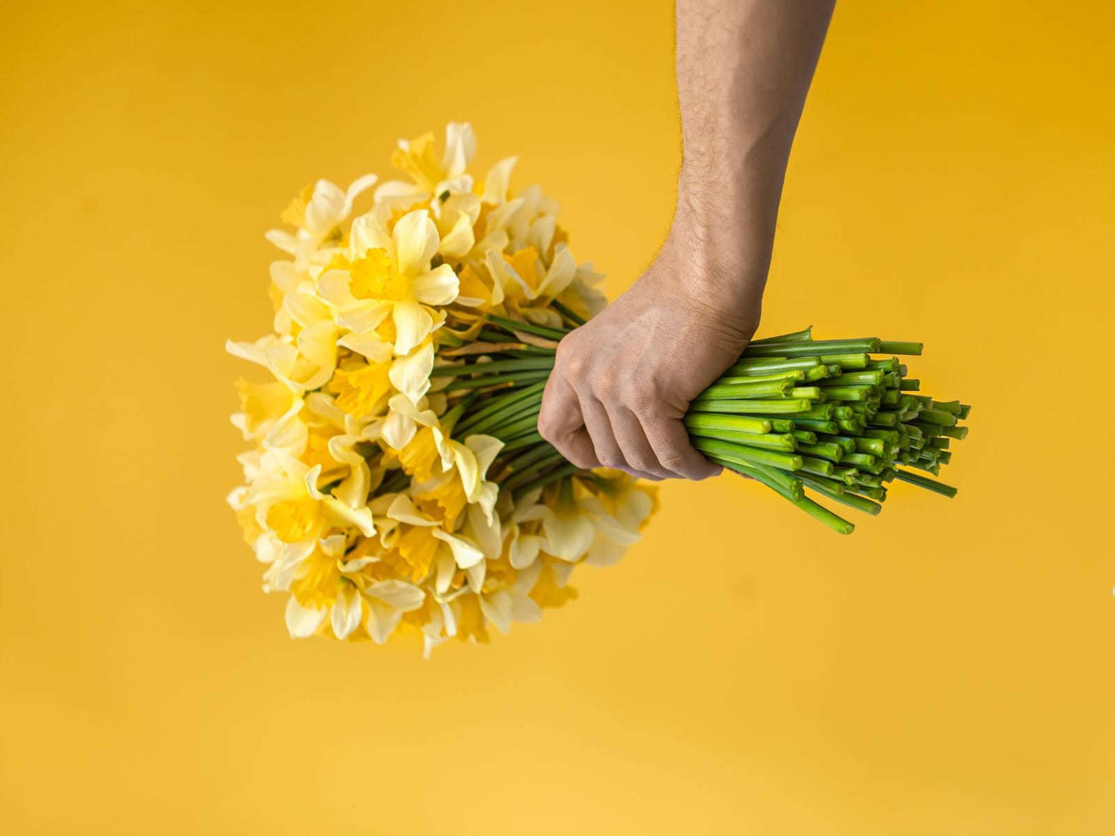 Es usual que muchas personas compren flores amarillas en celebraciones como Año Nuevo (Foto: freepik.es)