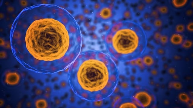 Nobel de Medicina 2019 | ¿Cómo las células “sienten” el oxígeno y por qué esto es importante para el organismo?