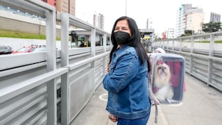 ATU: pasajeros sí pueden trasladar mascotas en el Metropolitano y Metro de Lima