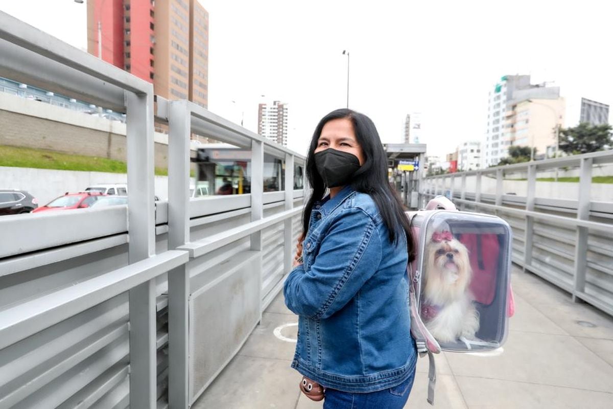 Pasajeros sí pueden trasladar mascotas en el Metropolitano y Metro de Lima. (Foto: ATU)