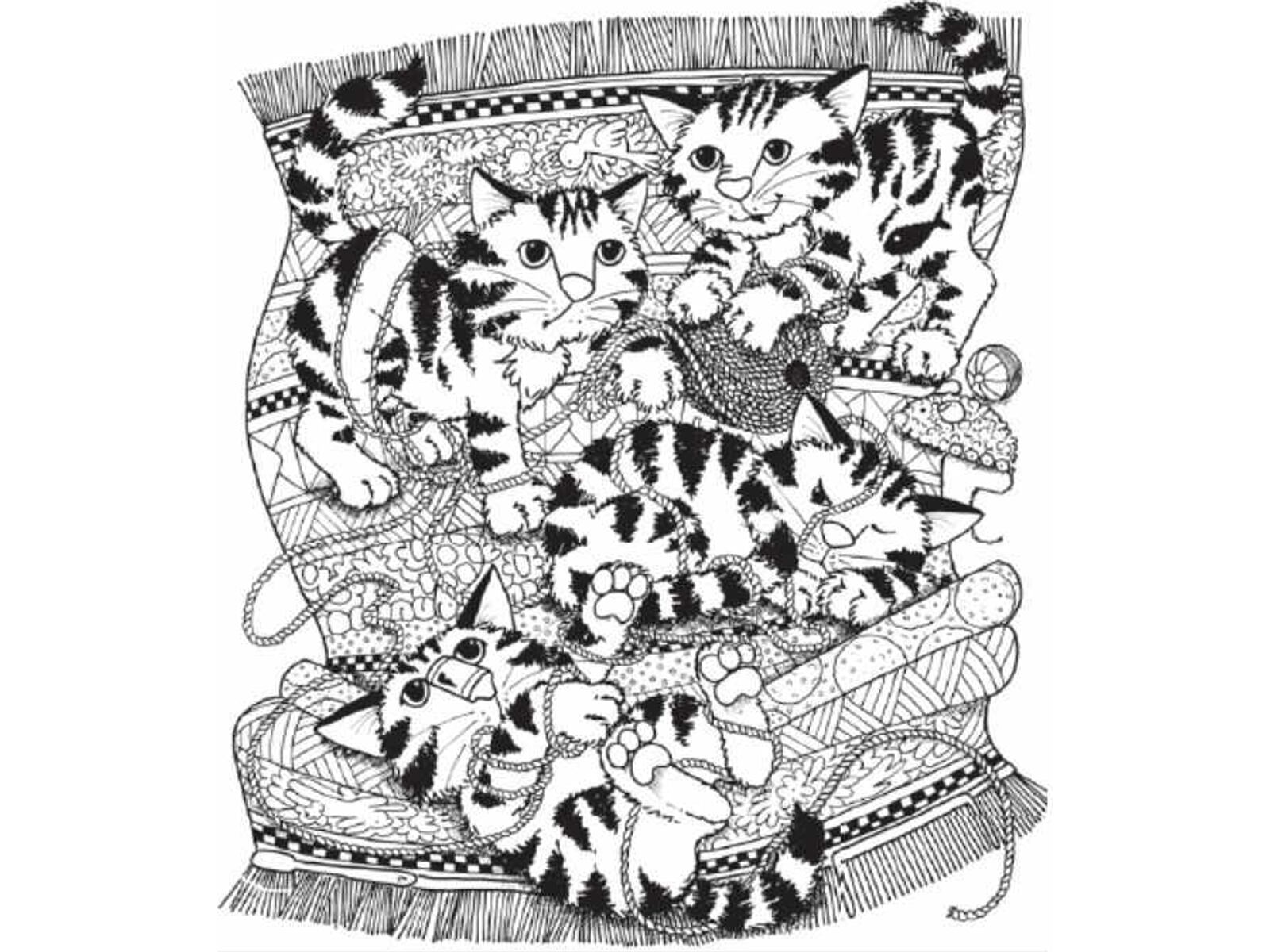 RETO VISUAL | En una imagen llena de adorables gatitos jugando y correteando, se esconde una astuta tortuga que solo los más perspicaces podrán encontrar. | jagranjosh