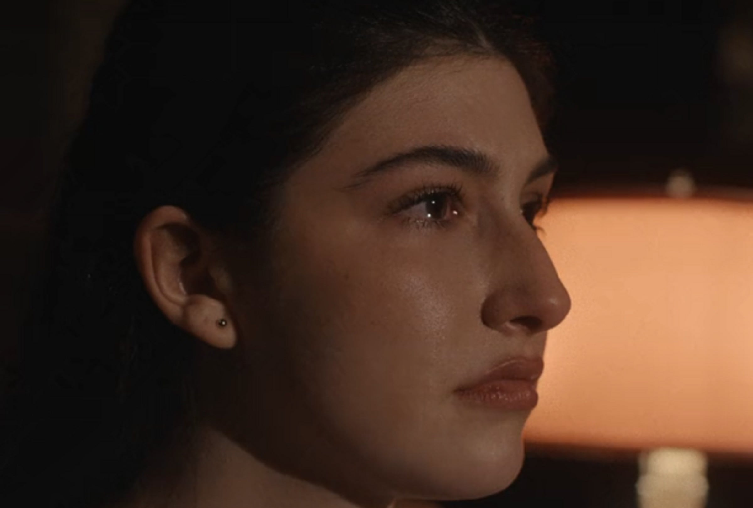 ¿Qué pasó con Sophie Birenbaum (Sunny Sandler) y su madre al final de la película "No se desea buena suerte"? (Foto: Netflix)