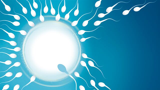 Infertilidad masculina: los mitos y verdades de este problema de salud reproductiva