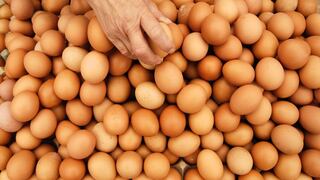 ¿Que hay de nuevo en la industria del huevo?
