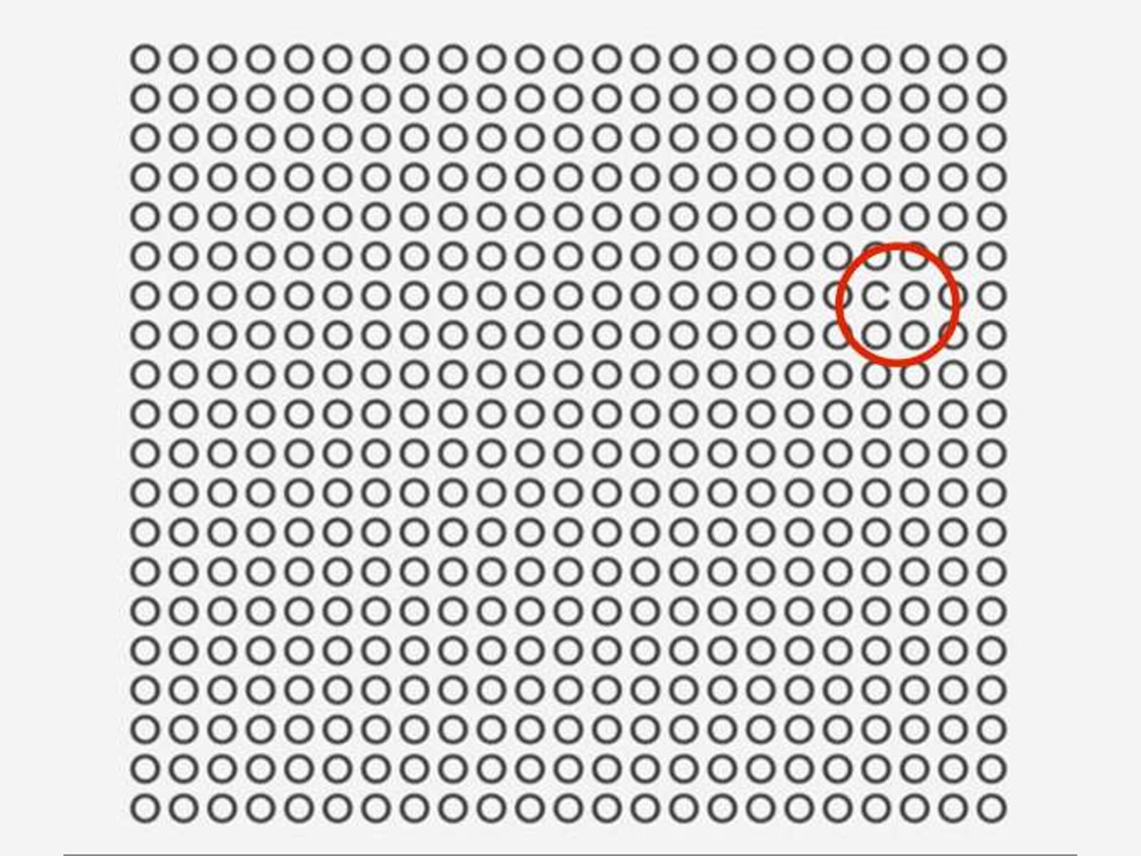 ¿Pudiste encontrarla antes de que se acabe el tiempo en este desafío?