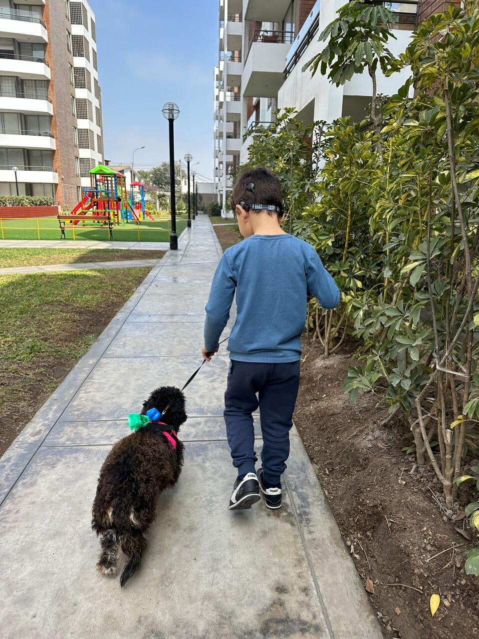 Colocha y su 'pequeño dueño' se han vuelto inseparables.