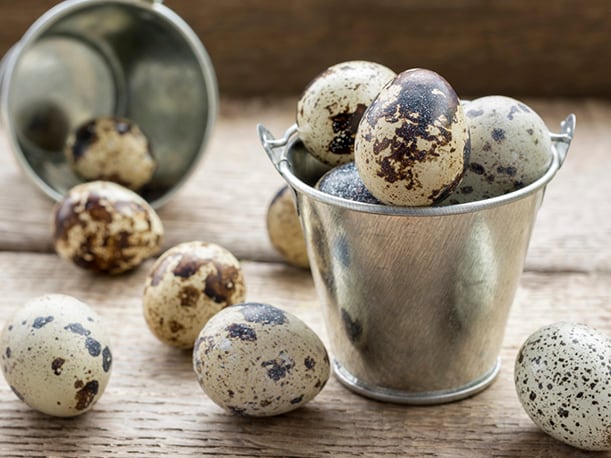 Una nueva norma busca impulsar la formalización de miles de vendedores de huevos de codorniz y gallina en todo el país. (Foto: IStock)