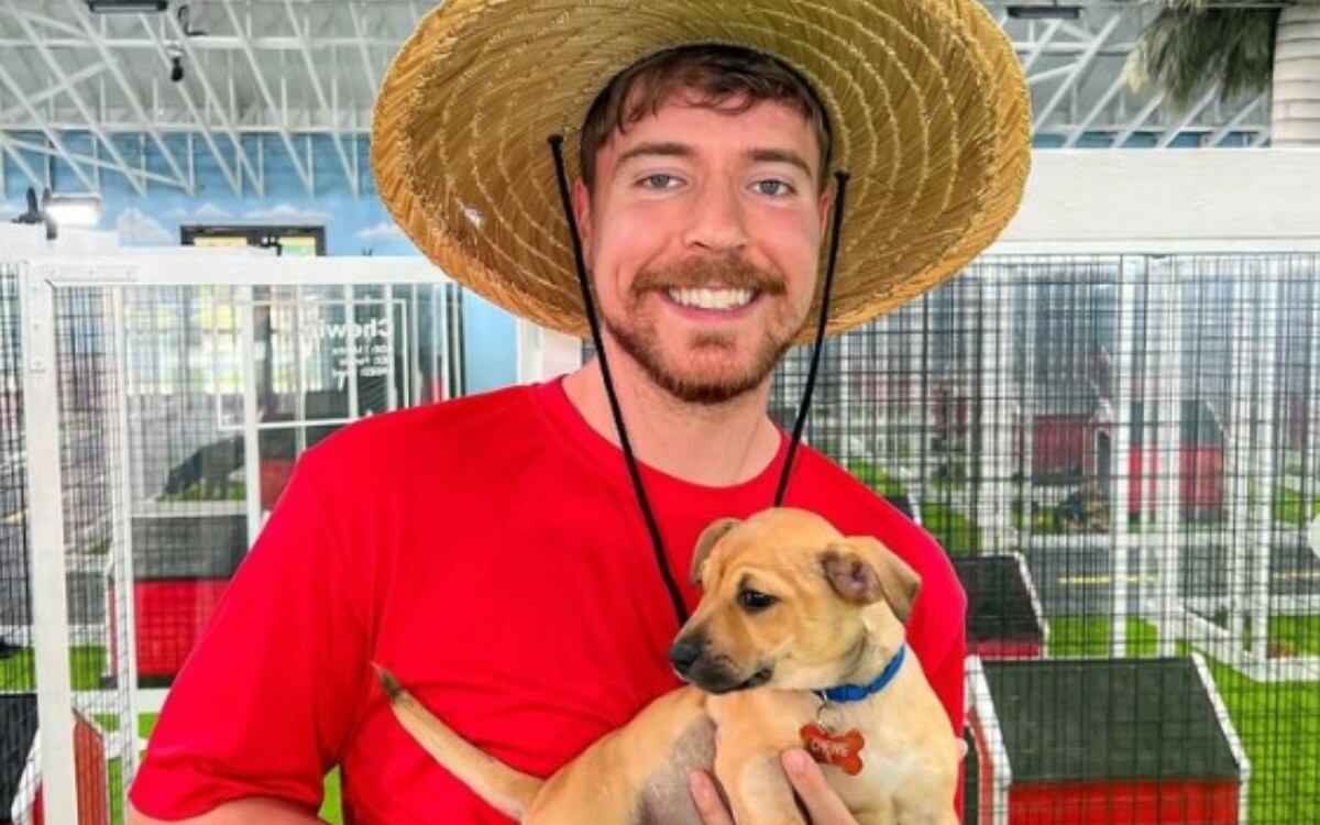 VIDEO VIRAL: MrBeast rescata a 100 perros abandonados y les consigue un hogar. (Foto: @mrbeast)