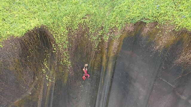 Miraflores: así fue el rescate de perro que quedó atrapado en malla de la Costa Verde