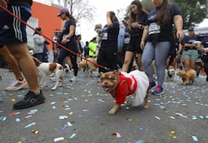 Wufathon 4K powered by El Comercio: así se realizó la jornada deportiva en Barranco | FOTOS