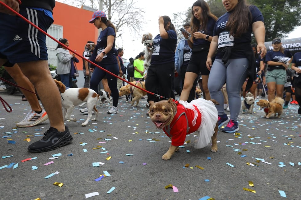 La Wufathon 4K 2025 en las calles de Barranco tuvo gran acogida. La jornada deportiva sirvió para que cientos de participantes compartieran con sus mascotas. (Foto: Antonio Melgarejo/ @photo.gec)