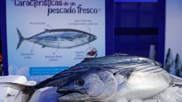 Produce incrementa en 4.666 toneladas cuota de bonito para pesca artesanal de cerco