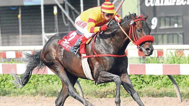 El Clásico Diario El Comercio se correrá el sábado 15 de mayo en el Hipódromo de Monterrico