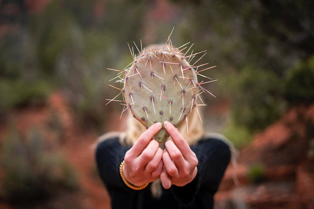 En la foto se puede observar a una mujer sosteniendo un cactus con sus manos. | Imagen referencial: Pexels